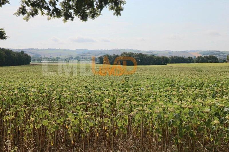 Maison - 282 m² - 11 pièces