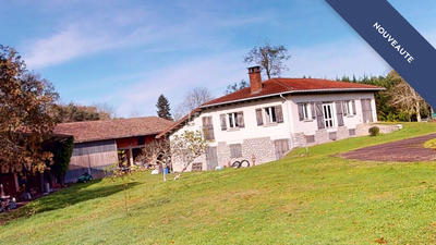 Maison - 382 m² - 9 pièces