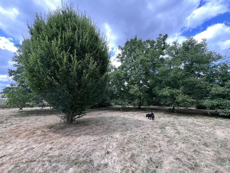 Fermette - 99 m² - 4 pièces