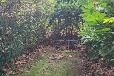 Appartement - 12 m² - 1 pièce