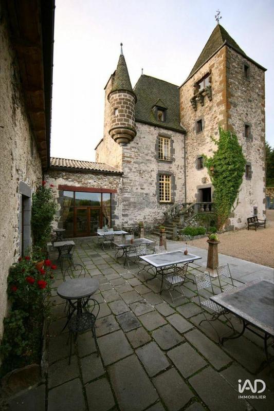 Château - 700 m² - 21 pièces