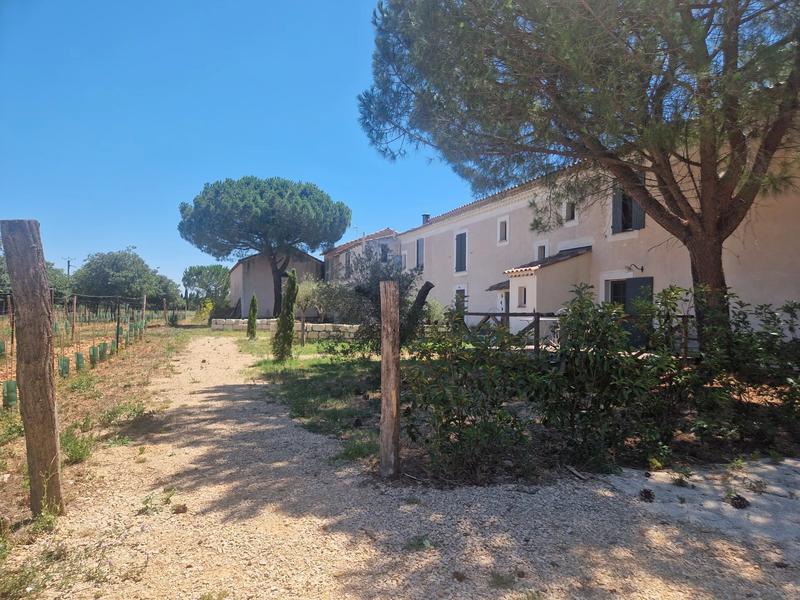 Mas - 508 m² - 13 pièces