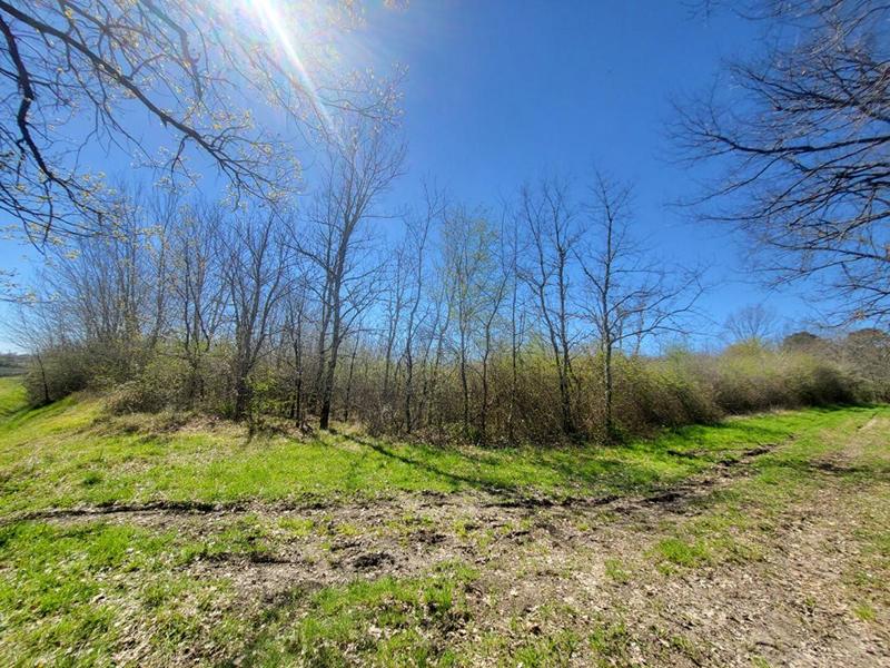 Terrain agricole - 7 061 m²