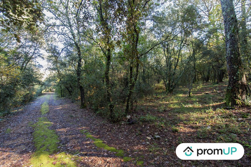 Terrain agricole - 9 625 m²