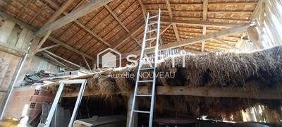 Maison - 250 m² - 1 pièce