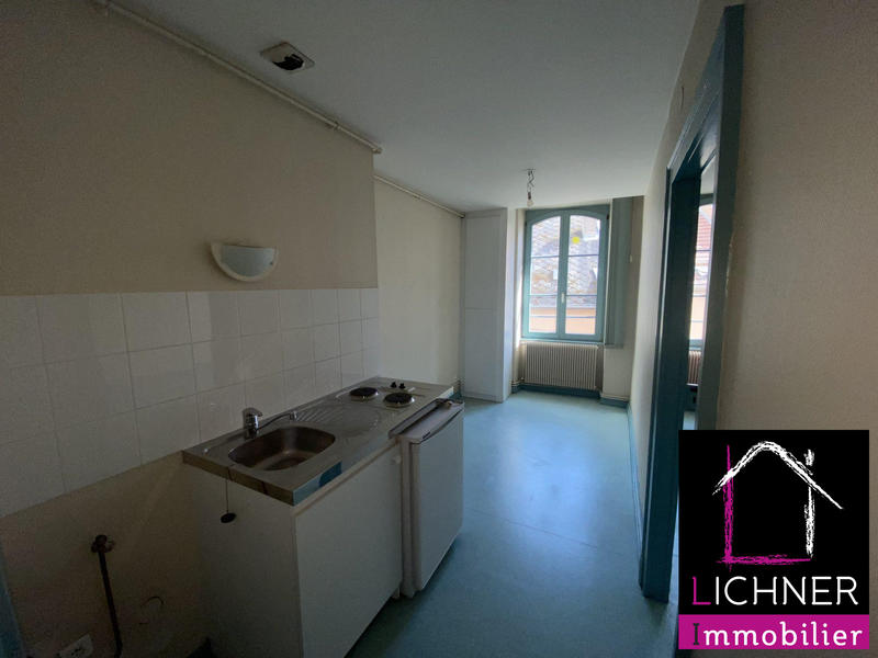 Appartement - 45 m² - 1 pièce