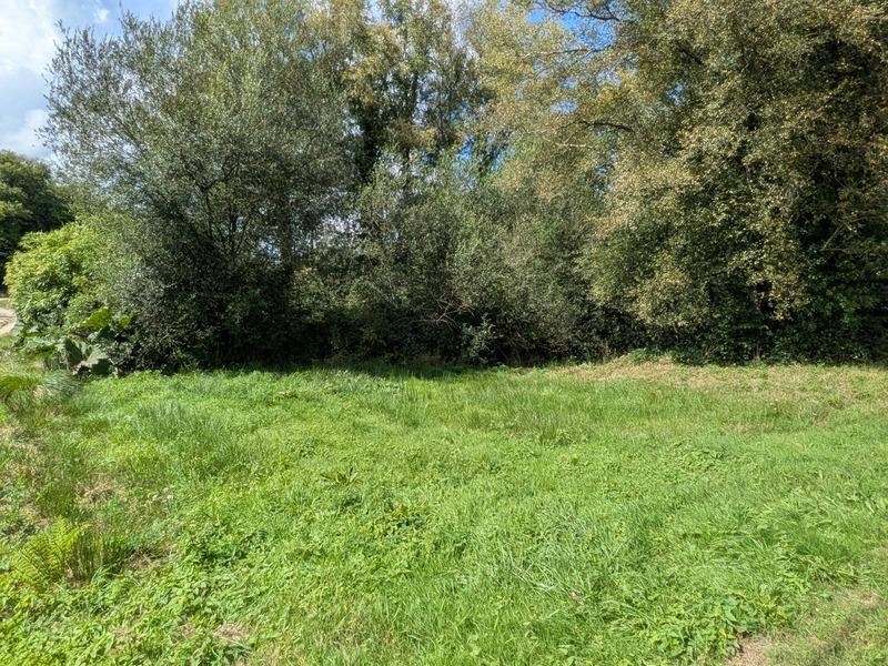 Maison de campagne - 56 m² - 4 pièces