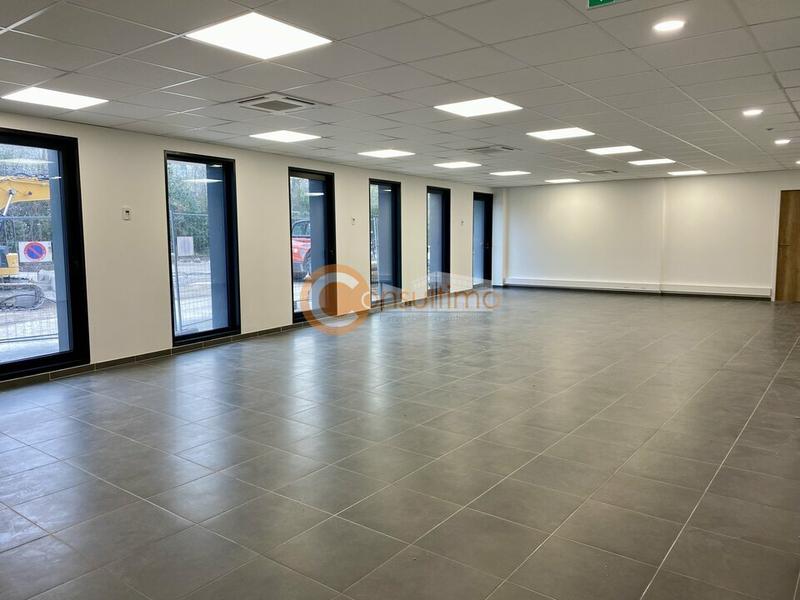 Bureau - 290 m²