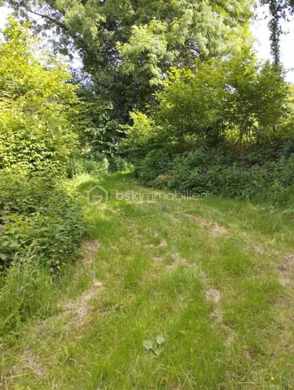 Corps de ferme - 160 m² - 7 pièces