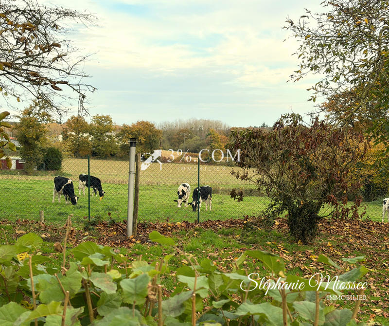 Maison en pierre - 92 m² - 4 pièces
