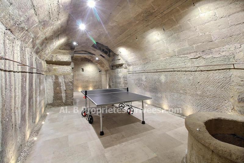 Hôtel particulier - 320 m² - 10 pièces