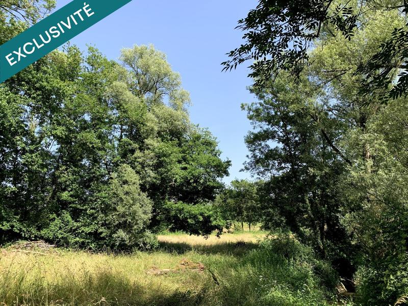 Maison - 174 m² - 5 pièces