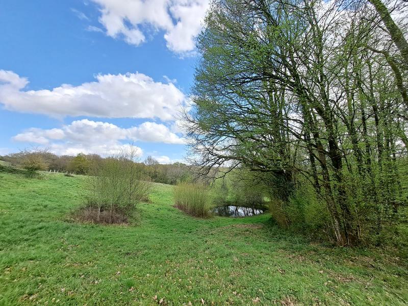 Maison - 246 m² - 6 pièces