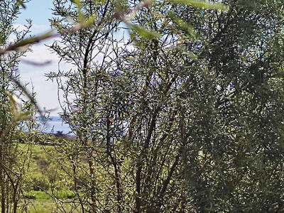 Terrain constructible - 831 m²