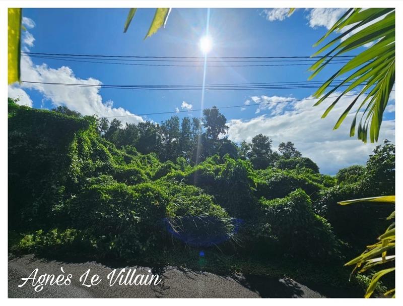 Terrain constructible - 1 041 m²