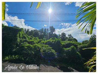 Terrain constructible - 1 041 m²