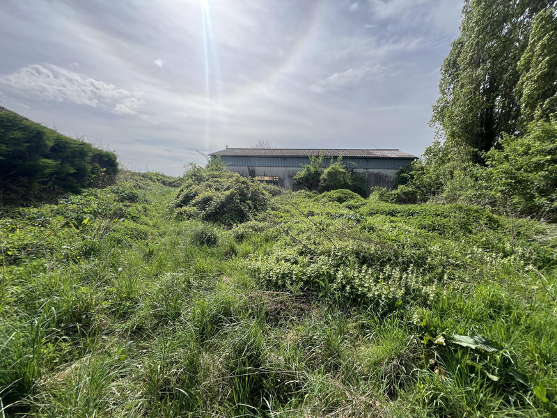 Entrepôt - 200 m² - 2 pièces