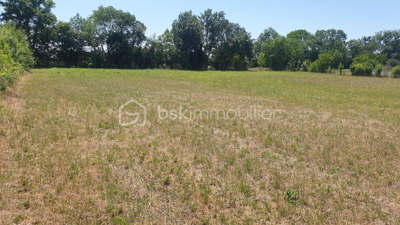 Terrain agricole - 5 685 m²