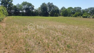Terrain agricole - 5 685 m²
