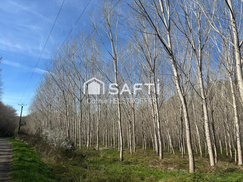 Terrain agricole - 31 186 m²