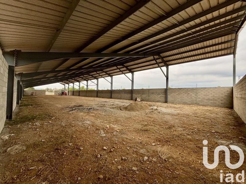 Terrain - 16 205 m²