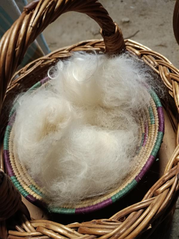 Ateliers initiation de filage au rouet - 2 formules