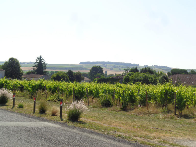 Terrain constructible - 2 000 m²