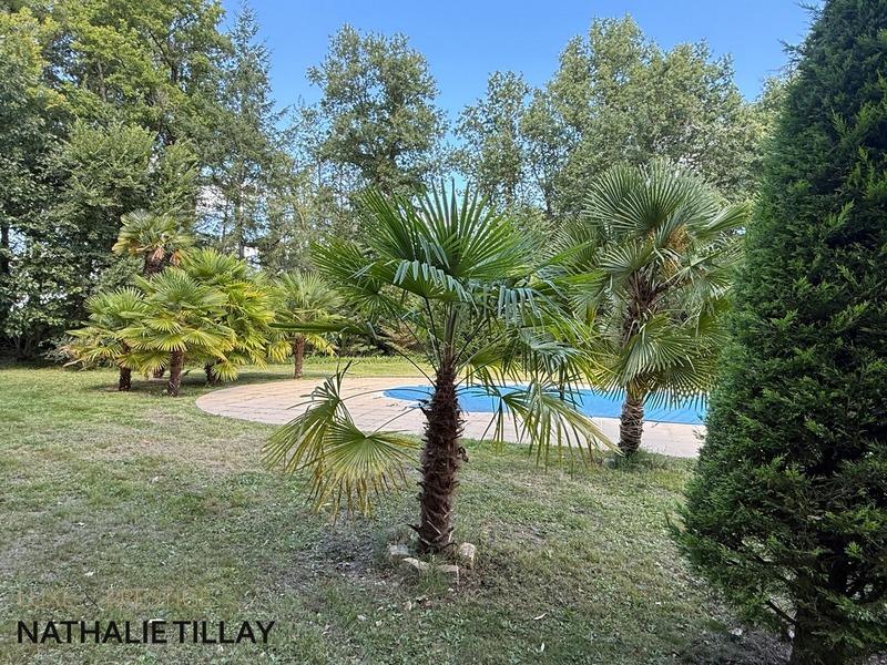 Maison de maîtres - 365 m² - 12 pièces