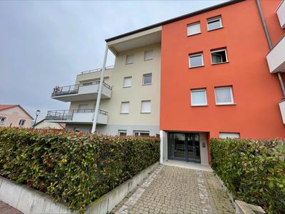 Appartement - 53 m² - 2 pièces