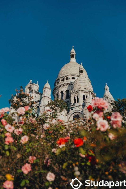 Appartement - 54 m² - 2 pièces