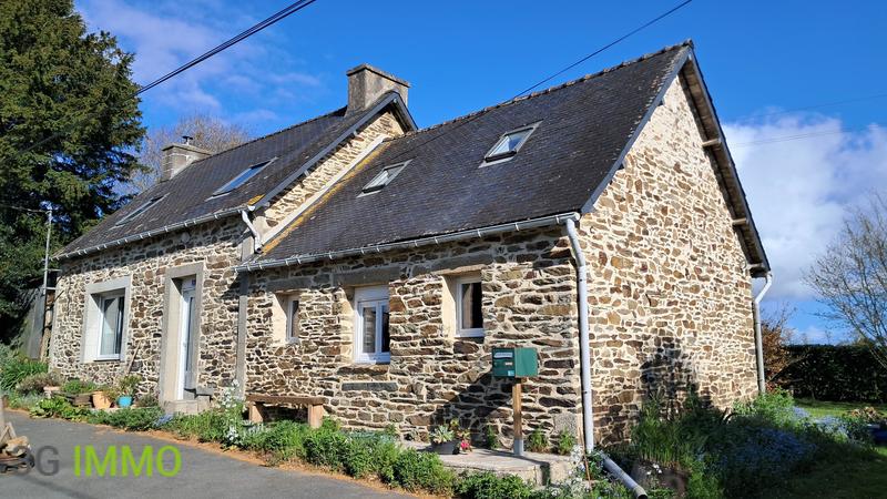 Maison en pierre - 76 m² - 4 pièces