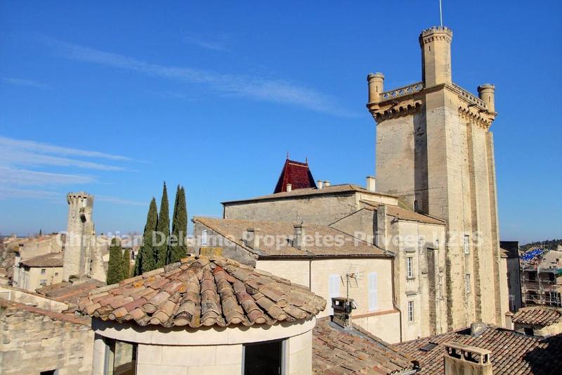 Hôtel particulier - 320 m² - 10 pièces