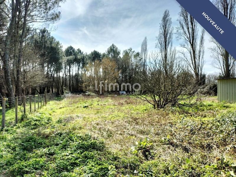 Maison en pierre - 105 m² - 3 pièces