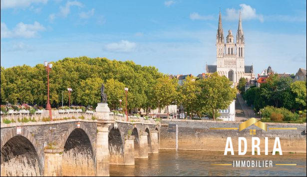 Appartement - 65 m² - 3 pièces