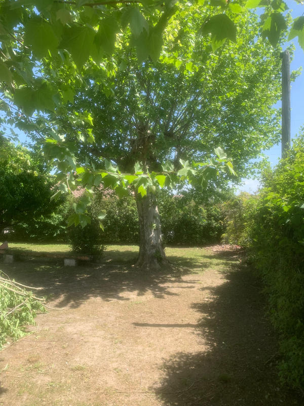 Propriété - 275 m² - 8 pièces