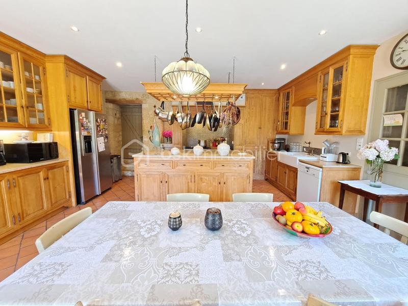 Château - 520 m² - 18 pièces