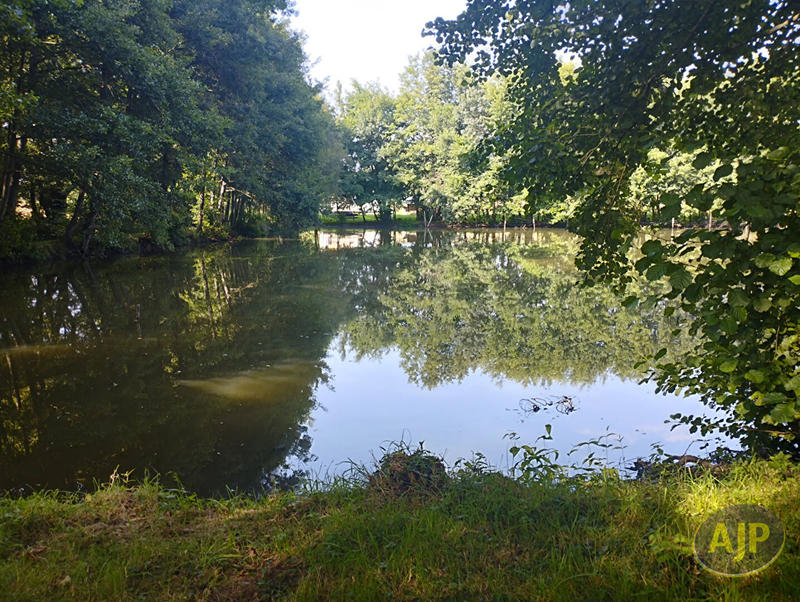 Terrain - 11 165 m²