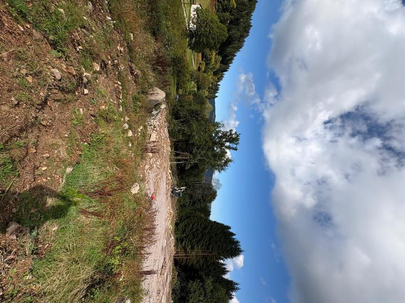 Terrain - 10 875 m²