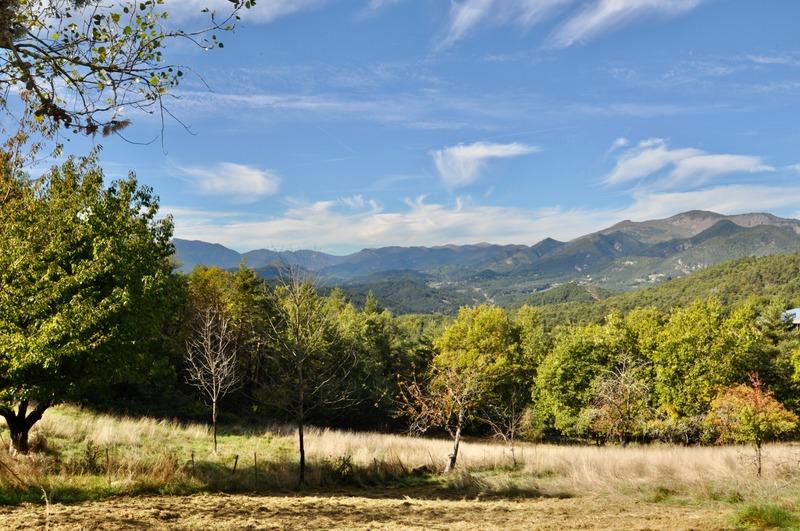 Ferme - 250 m² - 12 pièces