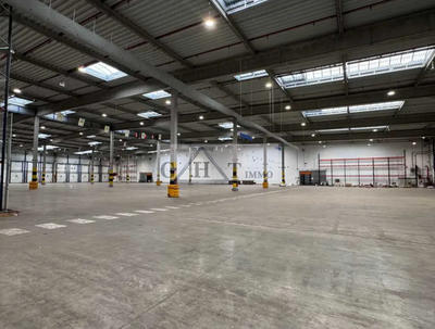 Entrepôt - 18 296 m²