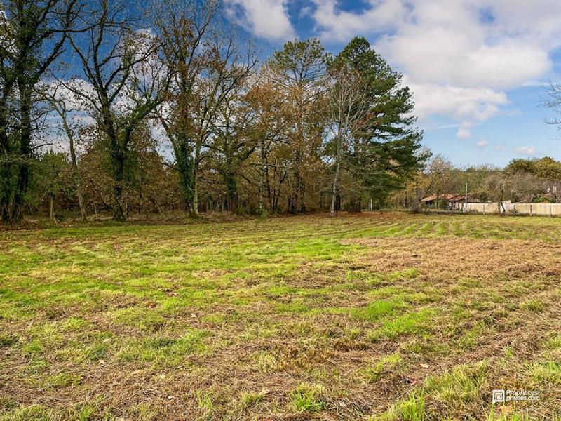 Maison - 61 m² - 3 pièces