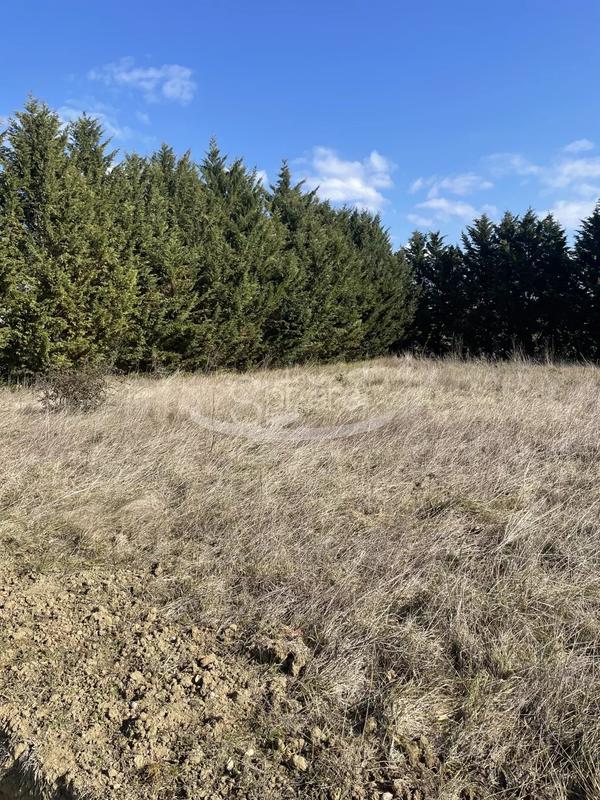 Terrain constructible - 3 628 m²