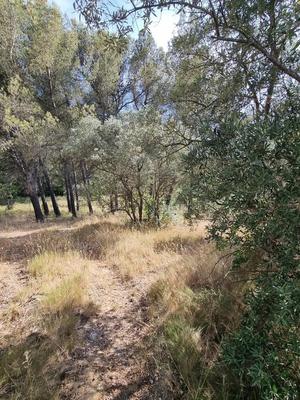 Terrain constructible - 1 060 m²