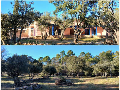 Viager - Maison - 190 m² - 5 pièces