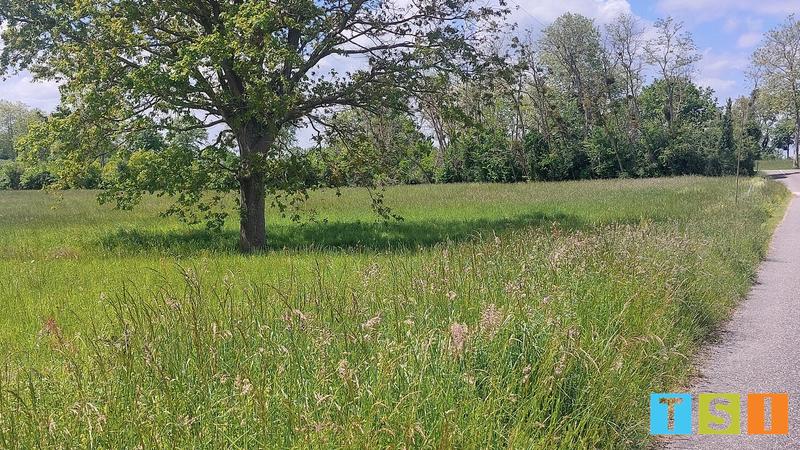 Terrain constructible - 5 820 m²