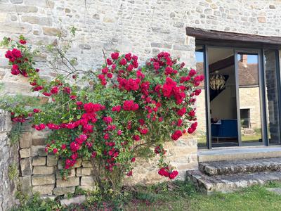 Maison ancienne - 340 m² - 12 pièces