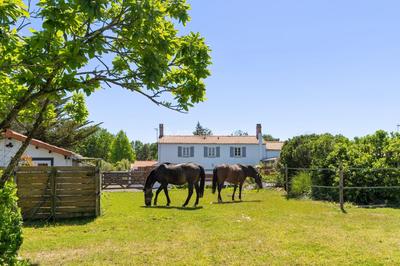 Maison - 175 m² - 10 pièces