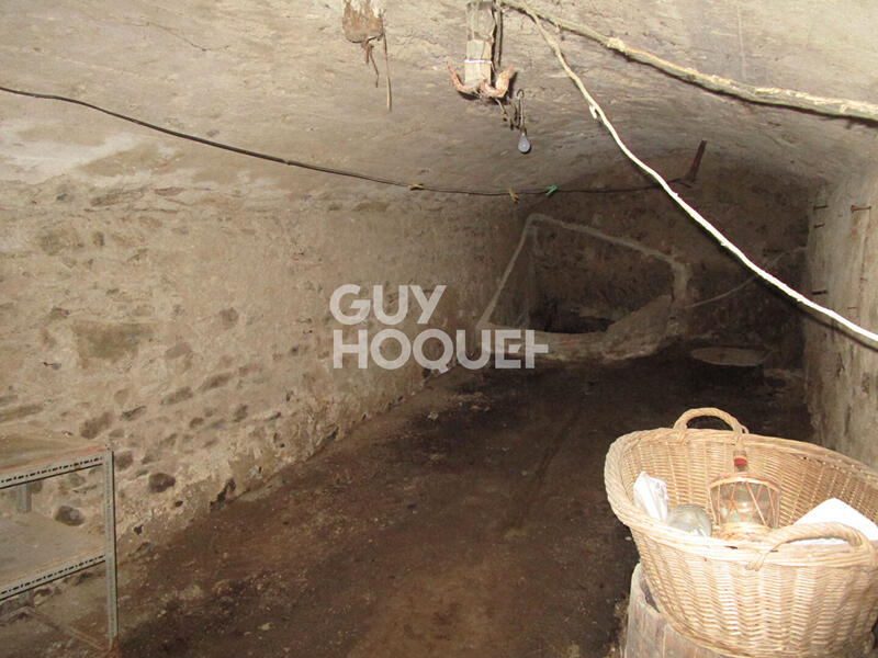 Maison - 250 m² - 3 pièces