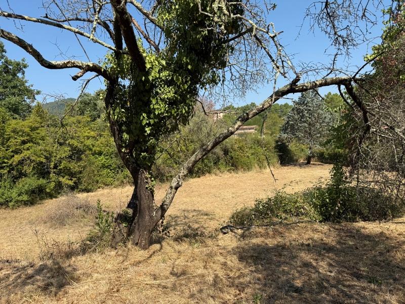 Terrain constructible - 1 270 m²