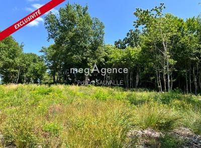 Terrain constructible - 3 842 m²